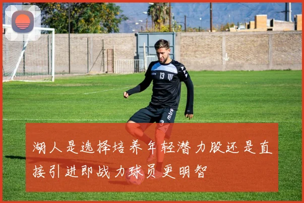 湖人是选择培养年轻潜力股还是直接引进即战力球员更明智