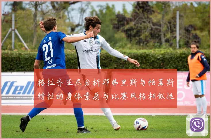 格拉齐亚尼分析邓弗里斯与帕莱斯特拉的身体素质与比赛风格相似性