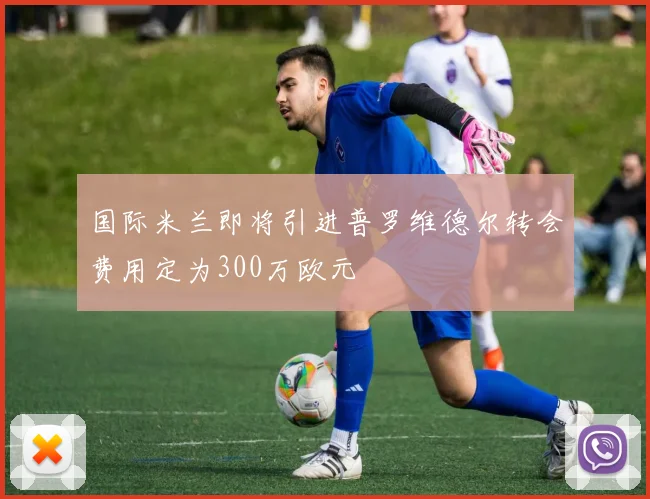 国际米兰即将引进普罗维德尔转会费用定为300万欧元