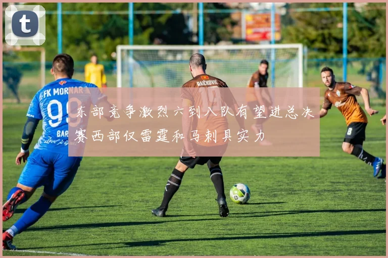 东部竞争激烈六到八队有望进总决赛西部仅雷霆和马刺具实力
